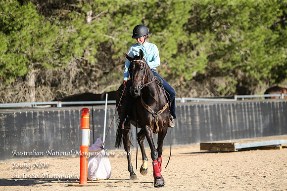ANMS2018_3616