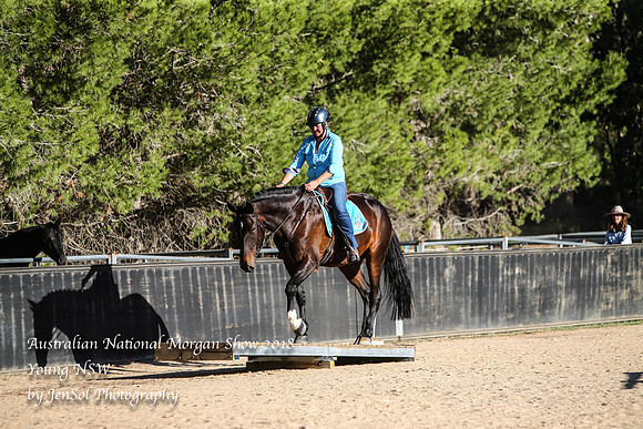 ANMS2018_3583