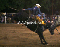 GundagaiGiddyup2013_1D_2289