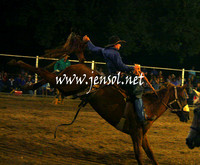 GundagaiGiddyup2013_1D_2278