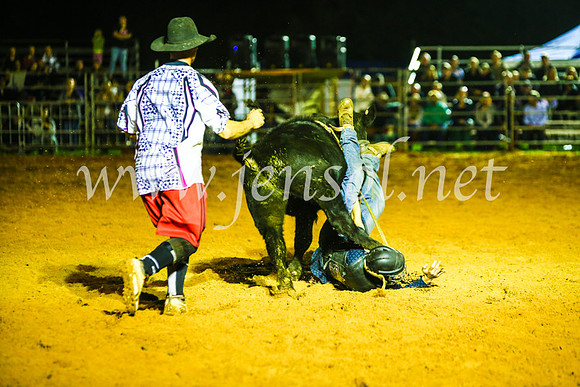 CamdenShowRodeo2017_1669