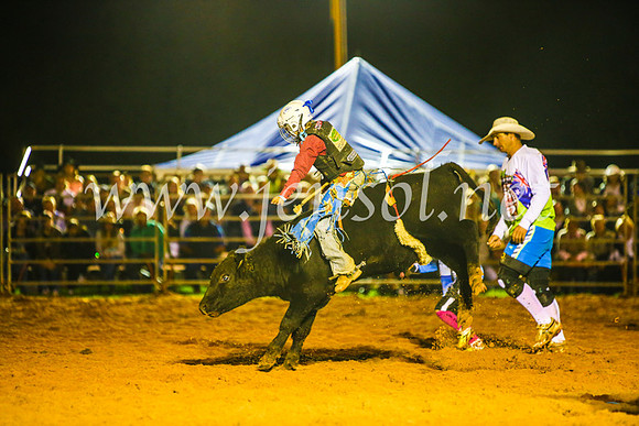 CamdenShowRodeo2017_0929