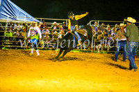 CamdenShowRodeo2017_0707