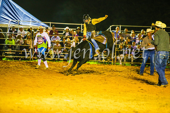 CamdenShowRodeo2017_0707
