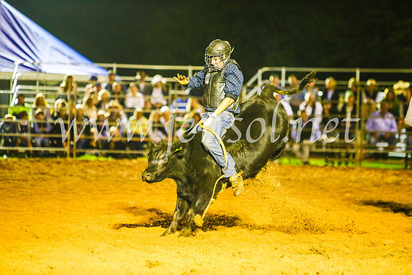 CamdenShowRodeo2017_1652