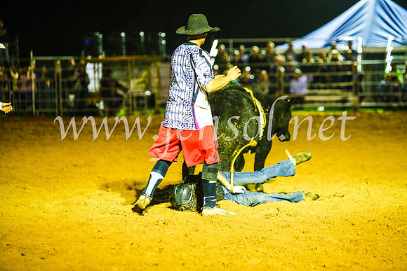 CamdenShowRodeo2017_1677