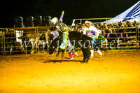 CamdenShowRodeo2017_0906