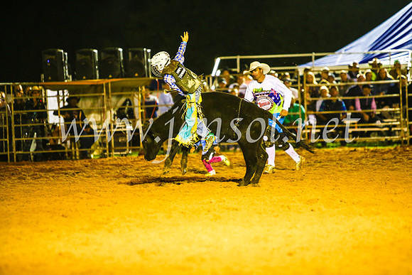 CamdenShowRodeo2017_0906
