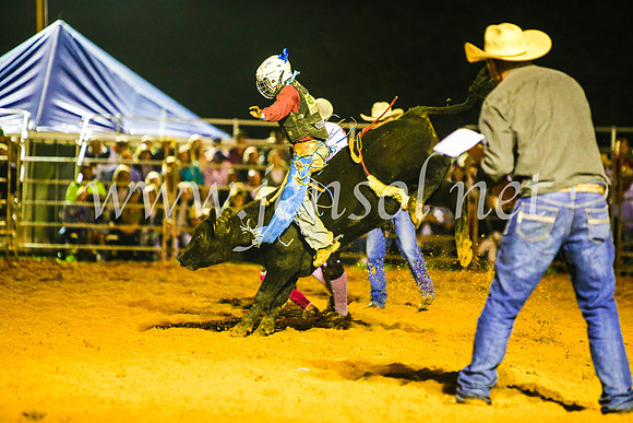 CamdenShowRodeo2017_0937
