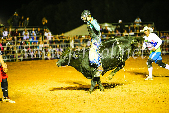 CamdenShowRodeo2017_0724