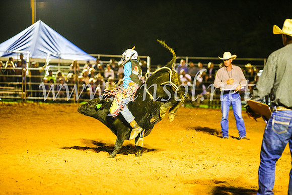 CamdenShowRodeo2017_1679