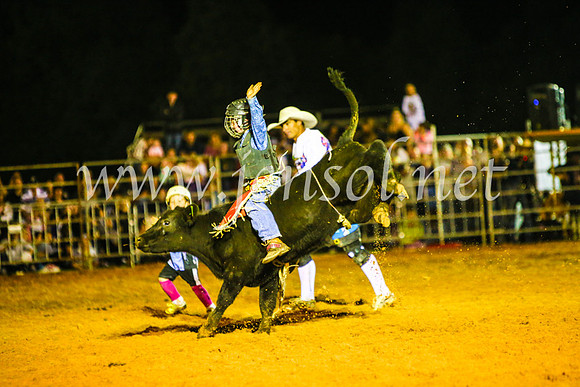 CamdenShowRodeo2017_0949