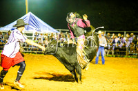 CamdenShowRodeo2017_0751