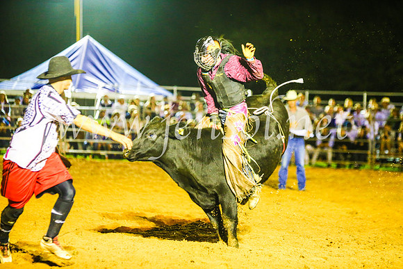 CamdenShowRodeo2017_0751