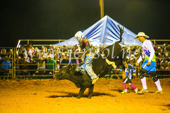 CamdenShowRodeo2017_0930