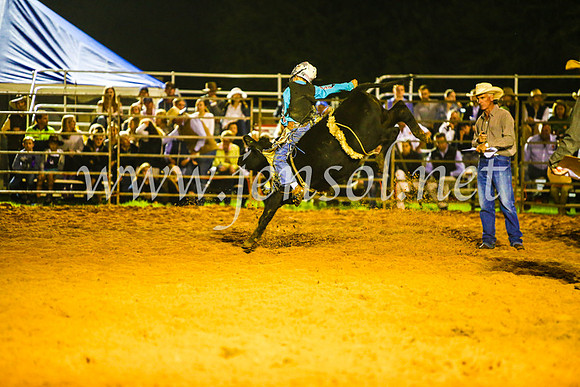 CamdenShowRodeo2017_1693