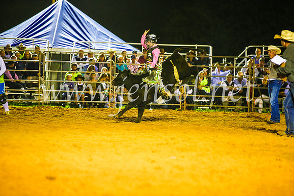 CamdenShowRodeo2017_0926