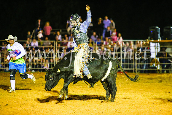 CamdenShowRodeo2017_0720