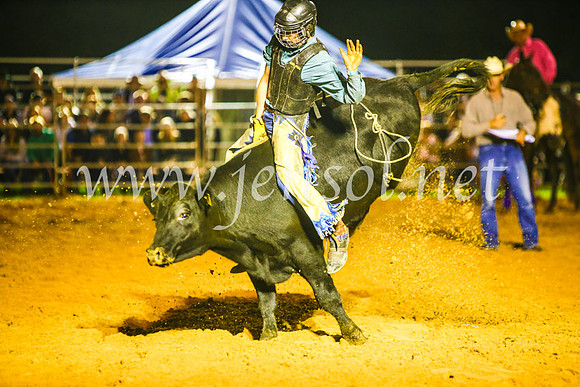 CamdenShowRodeo2017_0723