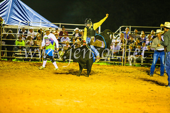 CamdenShowRodeo2017_0708