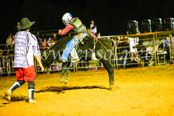 CamdenShowRodeo2017_0941