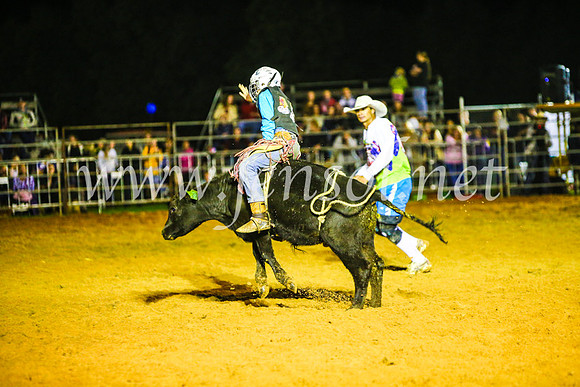 CamdenShowRodeo2017_1682