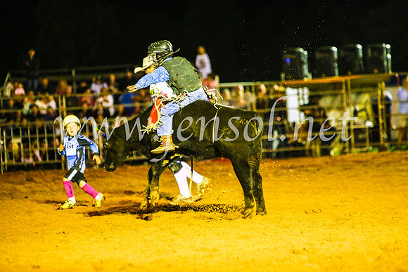CamdenShowRodeo2017_0946