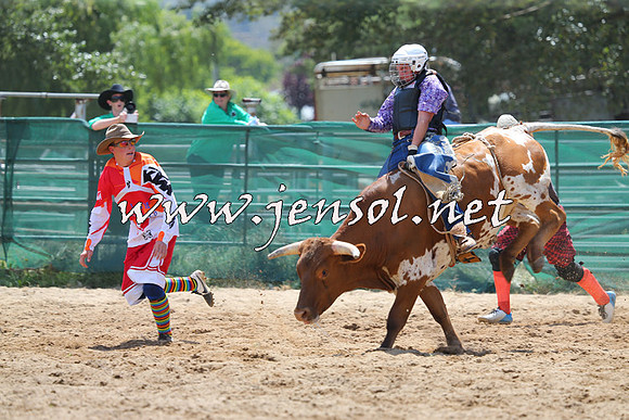 CoomaRodeo2015_0628