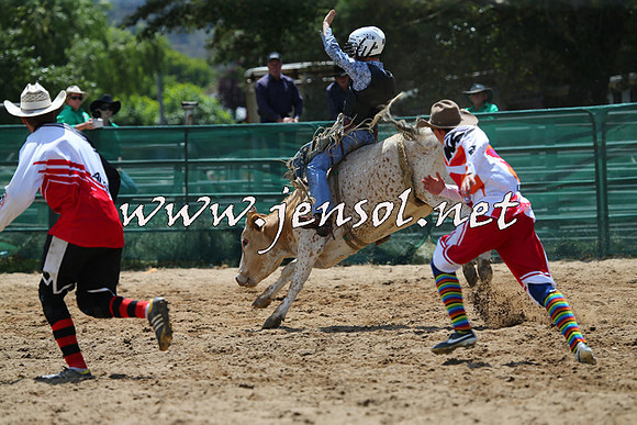 CoomaRodeo2015_0585