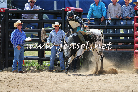 CoomaRodeo2015_0638