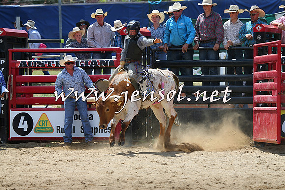 CoomaRodeo2015_0666