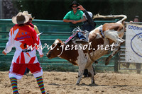 CoomaRodeo2015_0595