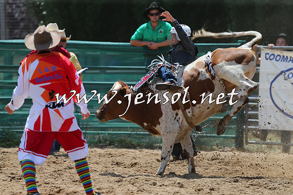 CoomaRodeo2015_0595
