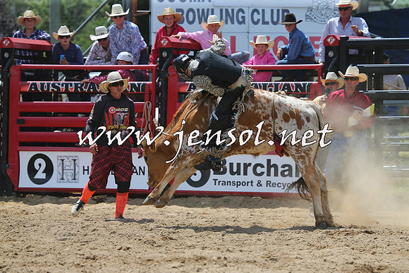 CoomaRodeo2015_0698