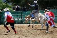 CoomaRodeo2015_0587