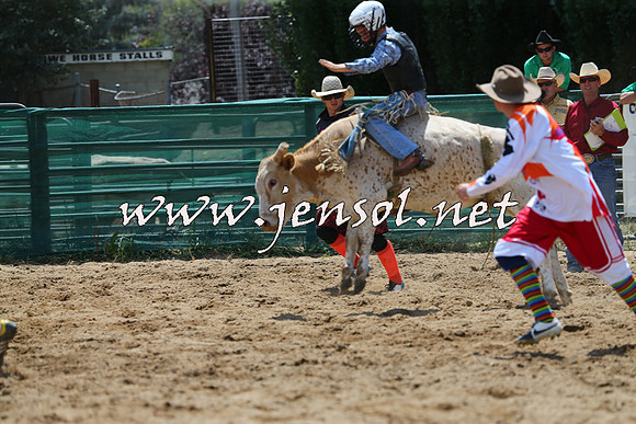 CoomaRodeo2015_0584