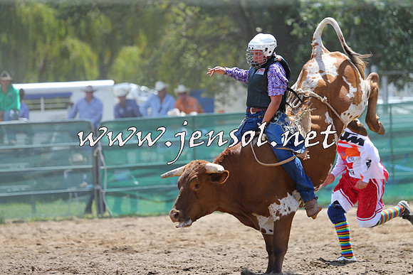 CoomaRodeo2015_0626