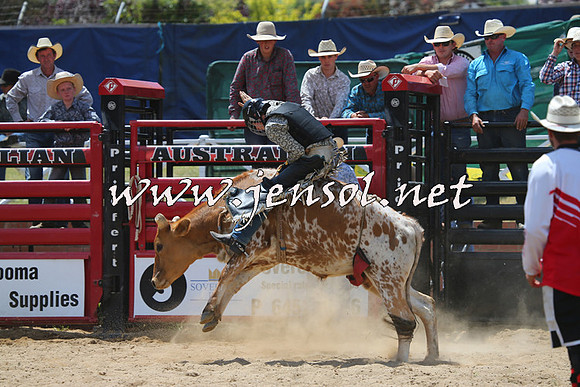 CoomaRodeo2015_0695