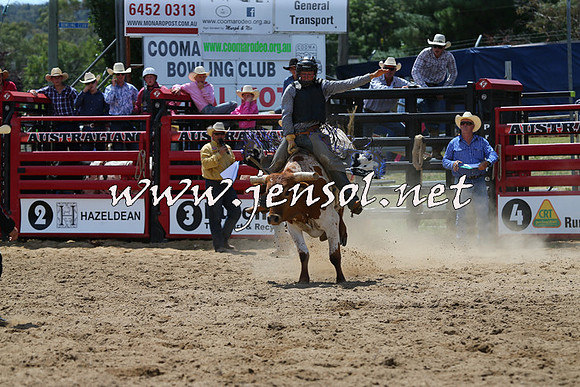CoomaRodeo2015_0667