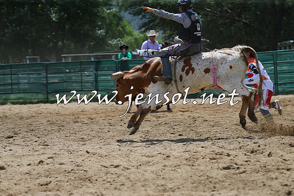 CoomaRodeo2015_0686