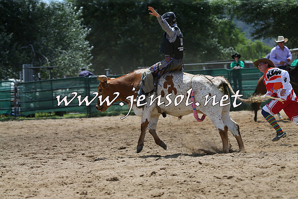 CoomaRodeo2015_0685
