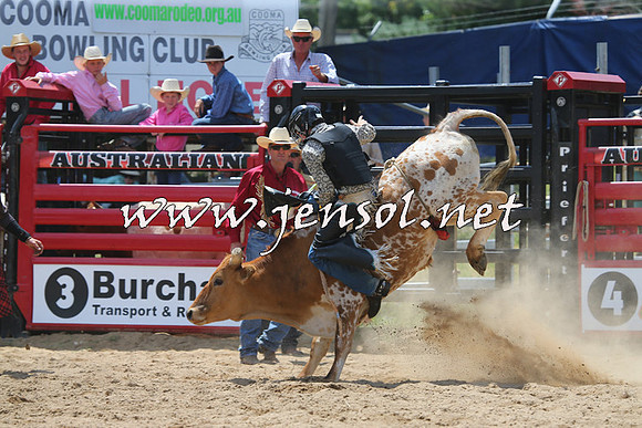 CoomaRodeo2015_0701