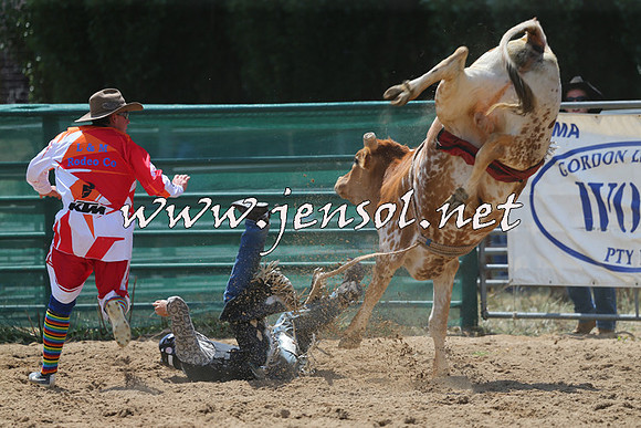 CoomaRodeo2015_0720