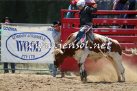 CoomaRodeo2015_0603