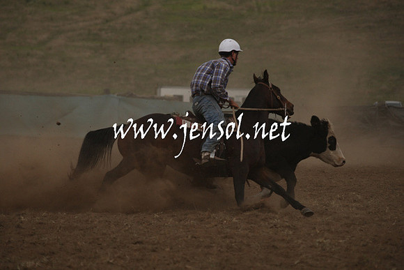 CabanandraCampdraft2013_1D_1001
