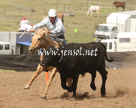 CabanandraCampdraft2013_1D_0930