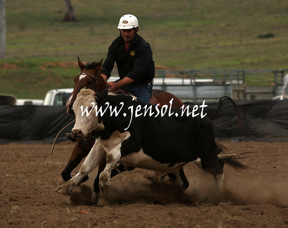 CabanandraCampdraft2013_1D_0983