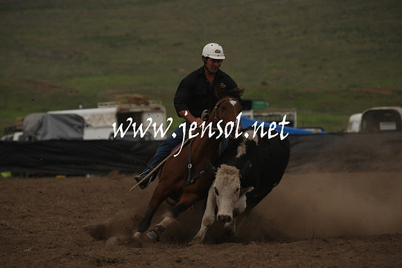 CabanandraCampdraft2013_1D_0985