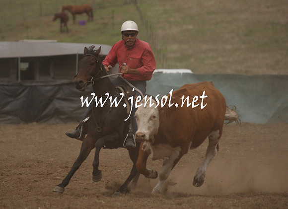 CabanandraCampdraft2013_1D_0971