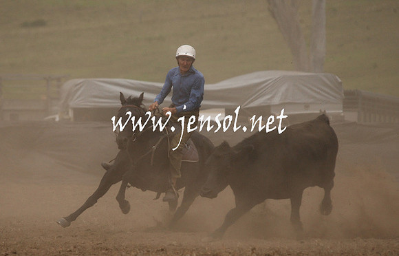 CabanandraCampdraft2013_1D_0965